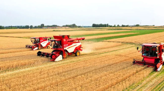 9001cc金沙以诚为本(中国)有限公司官网