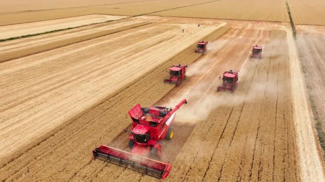 9001cc金沙以诚为本(中国)有限公司官网