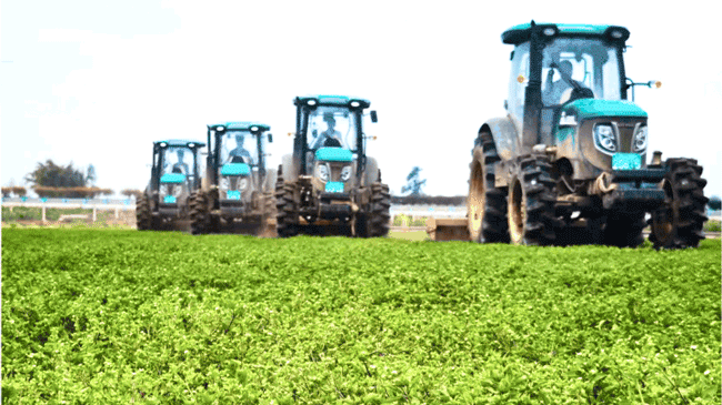 9001cc金沙以诚为本(中国)有限公司官网