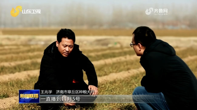 9001cc金沙以诚为本(中国)有限公司官网